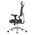 Chaise de bureau ergonomique SIHOO - Soutien lombaire - Rembourré noir-2