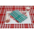 LINANDELLE - Lot de 2 grandes serviettes de table coton 57 fils carreaux vichy normand NELLY - Vert-2