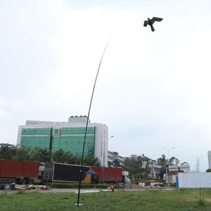CERF-VOLANT Effaroucheur d'oiseaux - ZERODIS - LEC Épouvantail cerf volant - Perche télescopique - Nylon et acier de verre