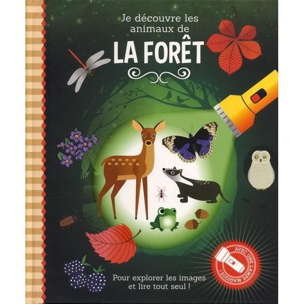 Je Decouvre Les Animaux De La Foret Avec Une Lampe Magique Cdiscount Librairie