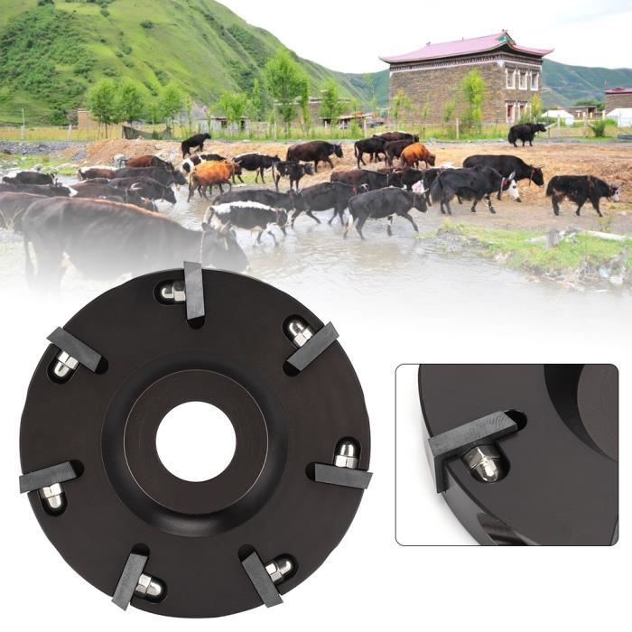 RIN Métal vache bovins sabot coupe coupe bétail mouton pied tondeuse disque plaque avec 7 lames plus nettes(HL-Q7F-II 7 Cutter )