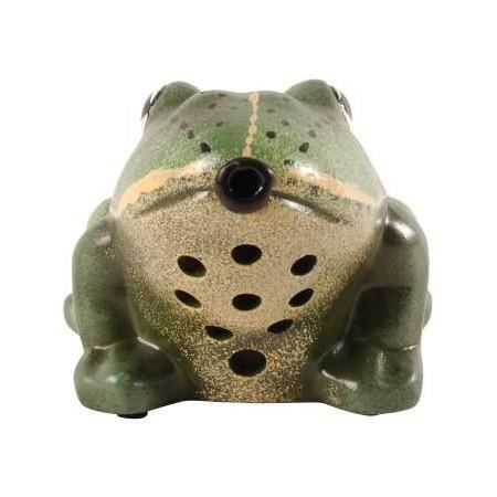 Grenouille Sonore d'accueil