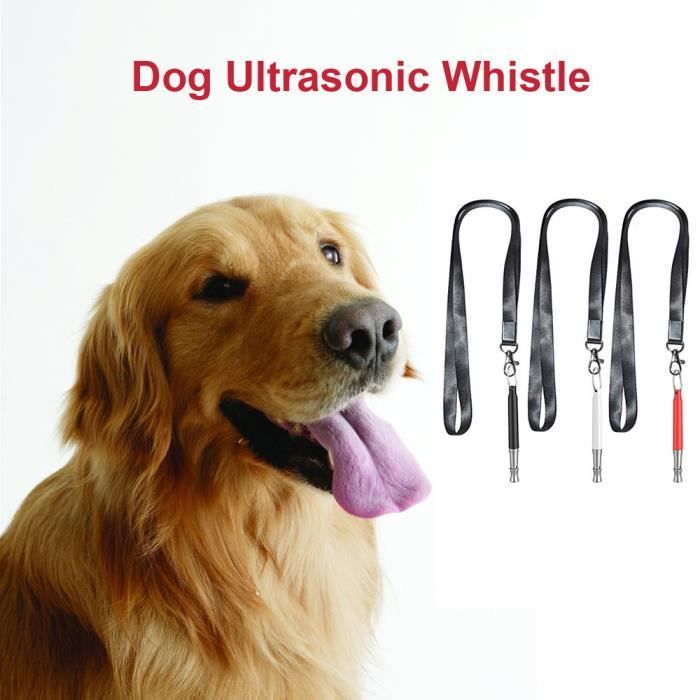 Dresseur De Chien Sifflet Dressage Chien Ultra Sonic Son Anti Perdu Formateur Fzh Enclos Chenil Cdiscount Animalerie Dresseur De Chien Sifflet Dressage Chien Ultra Sonic Son Anti Perdu Formateur Fzh Enclos Chenil Cdiscount Animalerie