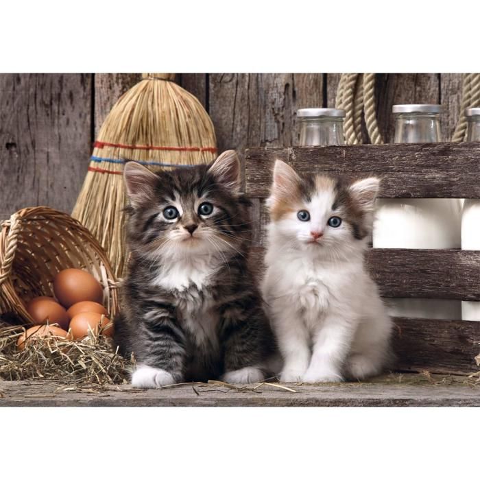Puzzle - CLEMENTONI - Adorables chatons - 1000 pièces - 70 x 50 cm - Poster inclus
