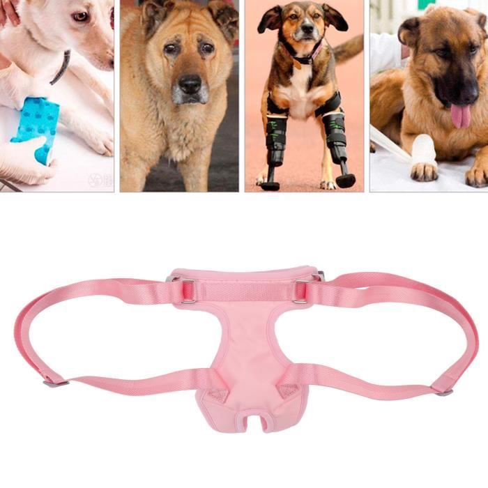 VGEBY Harnais de levage pour chien, support des pattes arrière ajustable, confortable pour chiot, aide à la mobilité