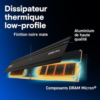 Mémoire RAM - CRUCIAL - DDR5 PRO - Kit 48 Go (2 x 24 Go) - 5600 MT
