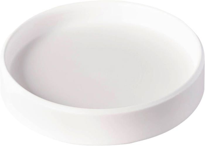 Soucoupe Céramique Blanche Pour Plantes - 16.5cm Diamètre - Protection Meubles Et Sols