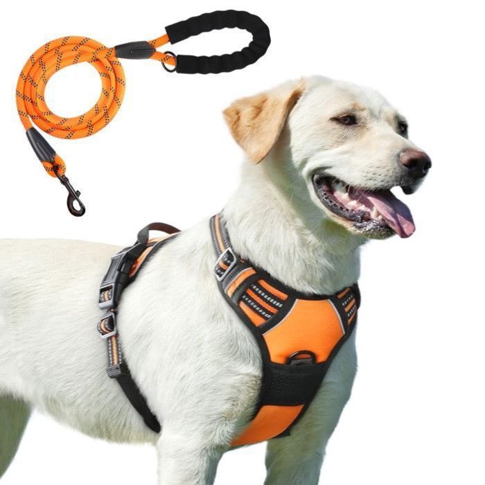 Meilleurs prix pour Kit Harnais et Laisse pour les Chiens moyennes et grandes avec bandes Réfléchissantes Arc réglable et ont une avance de 15