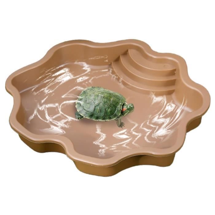 Meilleurs prix pour Piscine de bain pour reptiles – Grand bol dalimentation pour tortues Habitat pour tortues rampe nourriture et  BASSIN POUR ANIMAL