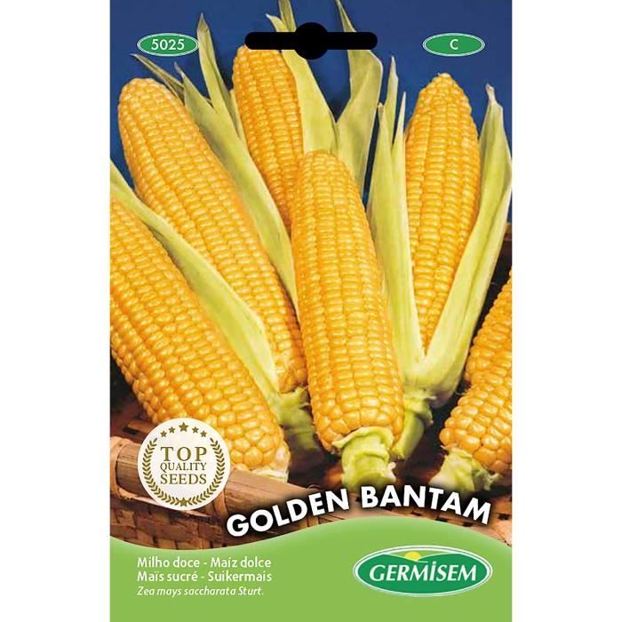 Graines En Sachet Hermétique, Qualité Supérieure, Germination 95%, Instructions Incluses, Made In Italy (MAÏS SUCRÉ GOLDEN BANTAM