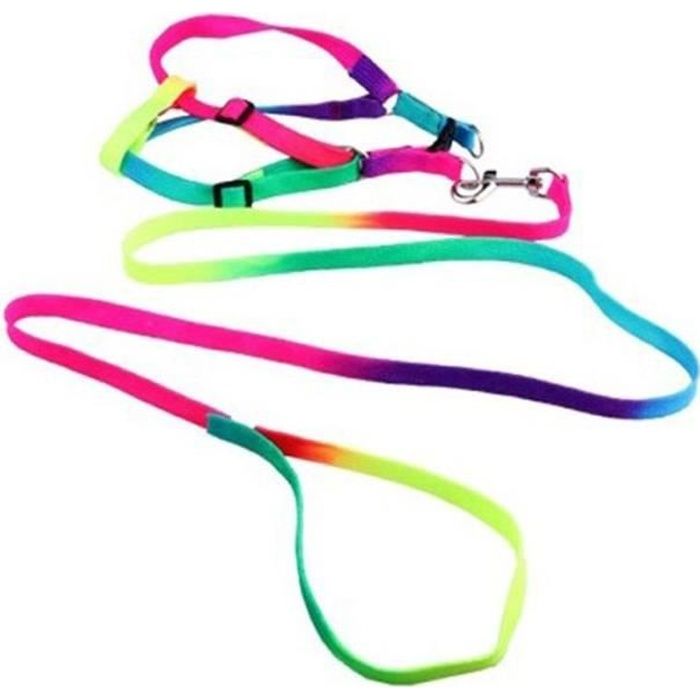 Laisse Harnais En Nylon Multicouleur Coloré Fluo Pour Chien Chat Lapin Furet