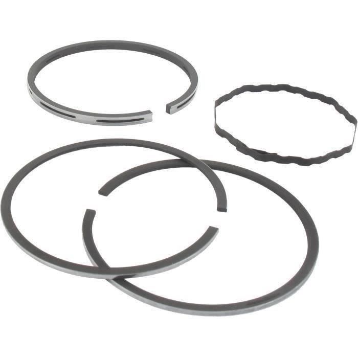 Segments BRIGGS et STRATTON 390486