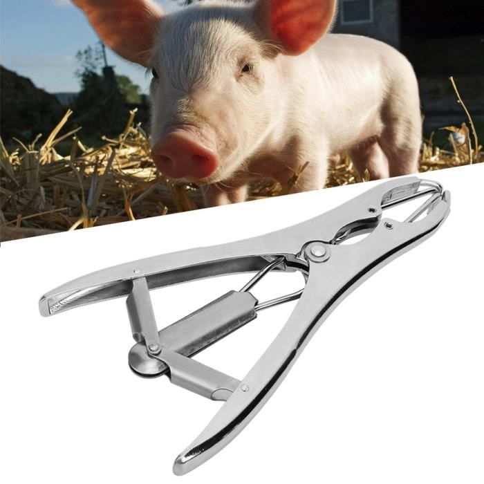 KSTE Pince de Castration, Pince de Castration Animale avec 50 Elastique Anneaux, Mouton Cochon de Métal Élevage Queue Accueil Castration Pinces Anneaux pour Vétérinaire Outil Chirurgical KSTE Pince de Castration, Pince de Castration Animale avec 50 Elastique Anneaux, Mouton Cochon de Métal Élevage Queue Accueil Castration Pinces Anneaux pour Vétérinaire Outil Chirurgical