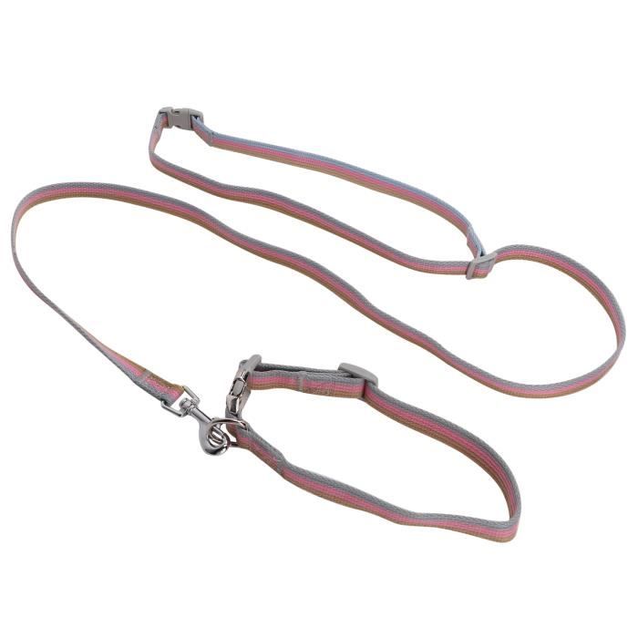 Laisse Réglable Pour Petit Chien Et Chat – Respirante, Confortable
