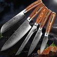 Japonais 10 Damas Couteau haute teneur en carbone en acier inoxydable Couteau de cuisine Slicing Utilitaire Cleaver Nouveau (Col499-1