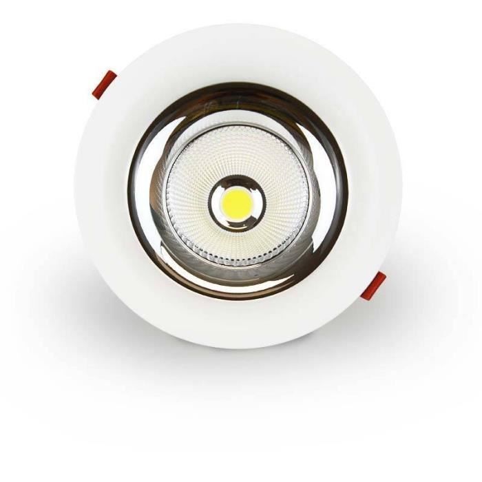 Spot LED encastrable spécial fruits et légumes - 30W - Coupe Ø210 mm