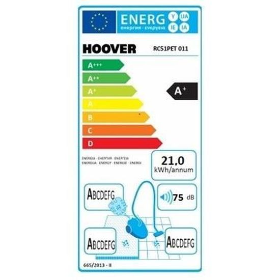 Hoover rc51pet 2025