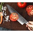 Japonais 10 Damas Couteau haute teneur en carbone en acier inoxydable Couteau de cuisine Slicing Utilitaire Cleaver Nouveau (Col499-3