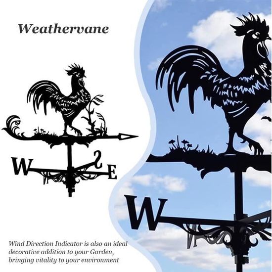 NC Girouette piquet de jardin Indicateur de direction du vent Outil de mesure avec motif sorcière Décoration pour cour extérieure