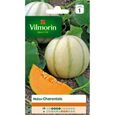 VILMORIN Melon Charentais-0
