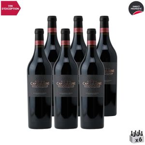 VIN ROUGE Château Cantelaube Rouge 2017 - Lot de 6x75cl - Vin Rouge de Bordeaux - Appellation AOC Saint-Emilion Grand Cru