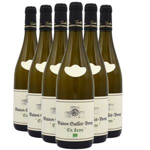 VIN BLANC Domaine Guillot-Broux Mâcon Chardonnay En Serre 20