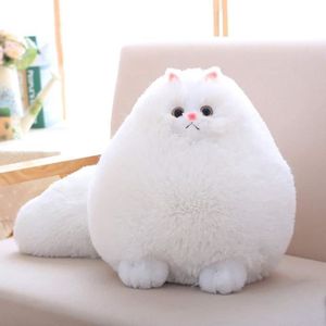 Chat En Peluche Qui Ronronne Achat Vente Jeux Et Jouets Pas Chers Chat En Peluche Qui Ronronne Achat Vente Jeux Et Jouets Pas Chers