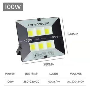 LAMPE DE JARDIN  100W - BLANC - Projecteur LED COB étanche IP67, éc