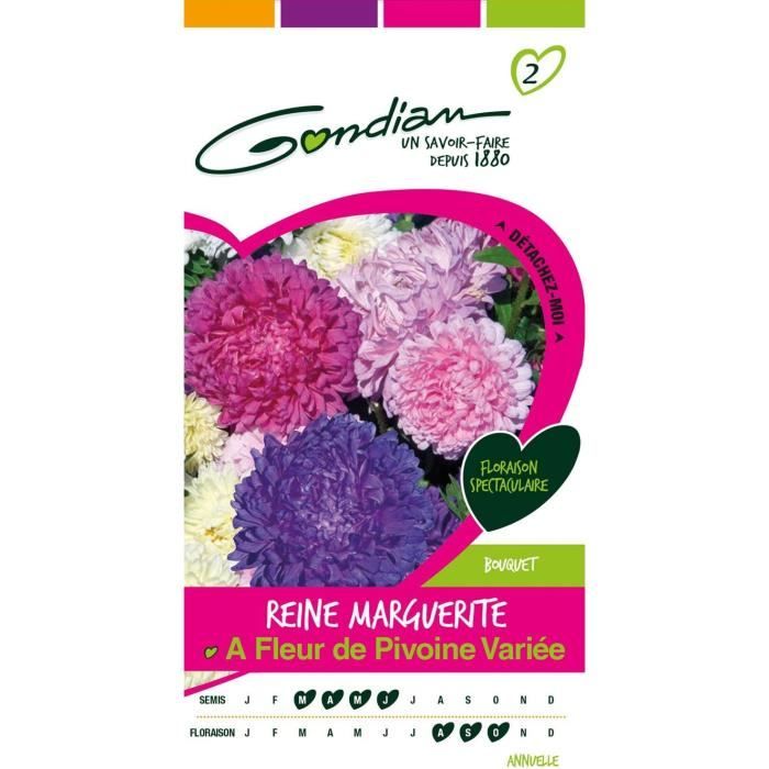 30 Graines De Marguerite Multicolore (Kapkörbchen) – Plantes Annuelles Pour Jardin, Attirant Abeilles, Fleurs Tout L’été