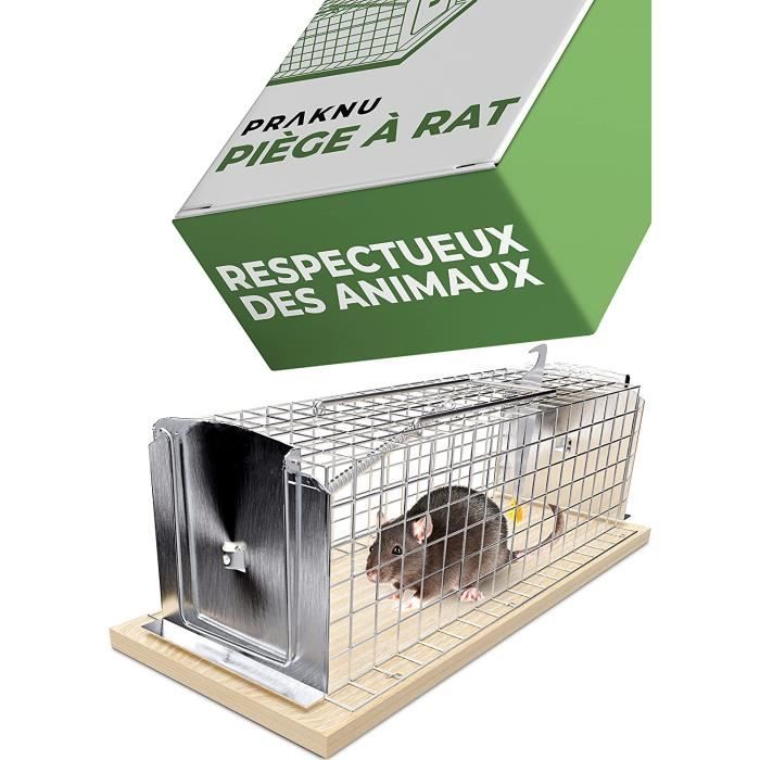 Cage Piège à Rat Vivant - 30 cm Grand - Réutilisable Piege a Rongeur - pour  Les Rats et Les Souris [198] - Cdiscount Jardin