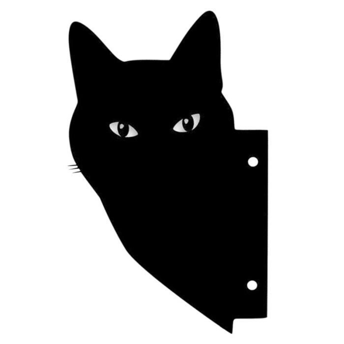 Chat noir sur herbe verte photo – Photo Fót Gratuite sur