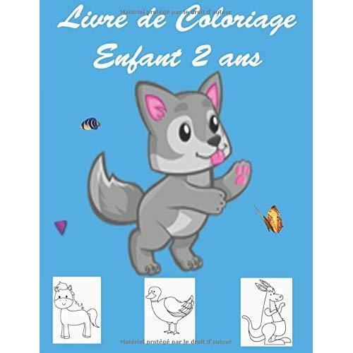 Livre De Coloriage Enfant 2 Ans Cahier Activite 2 Ans Livre Broche Achat Vente Broche Livre De Coloriage Enfant 2