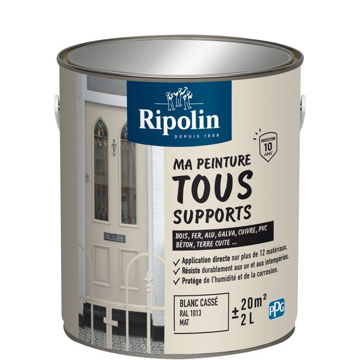 Peinture multi-supports - Blanc cassé - RAL 1013 - Mat