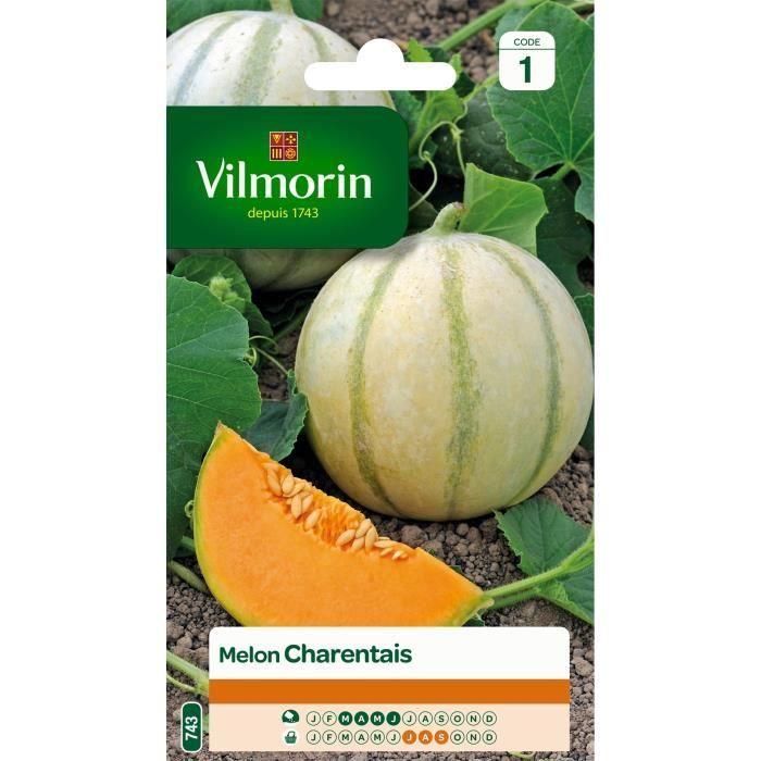 VILMORIN Melon Charentais