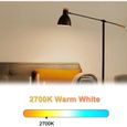 Ampoule LED B22 3W Baïonnette B22 G45 Blanc Chaud 2700K 250lm Équivalent Ampoule à Incandescence de 25W 360°-1