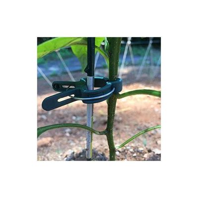Supports Plantes Grimpantes Clips Pour Attacher Les Plantes: 20 Clips Vert Pour Plantes- Aide à L'escalade Des Plantes Grimpantes Sur Tuteur Spirale Ou Piquet Bambou - Clips Pour Le Jardinage Et Le Supports Plantes Grimpantes Clips Pour Attacher Les Plantes: 20 Clips Vert Pour Plantes- Aide à L'escalade Des Plantes Grimpantes Sur Tuteur Spirale Ou Piquet Bambou - Clips Pour Le Jardinage Et Le