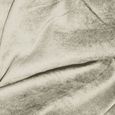 SUEDEN - Rideau en suédine parfait pour habiller vos fenêtres 100% Polyester - 140 x 250 cm - Beige clair-2
