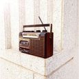 Lecteur et enregistreur de cassette radio vintage WUBAILI - Haut-parleur et micro intégrés - Marron-2