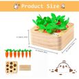 Jouets en Bois Jouets D'assemblage de Carottes Jouets Montessori Forme Taille Tri Puzzle Cadeaux pour Les Tout-Petits Enfants-2