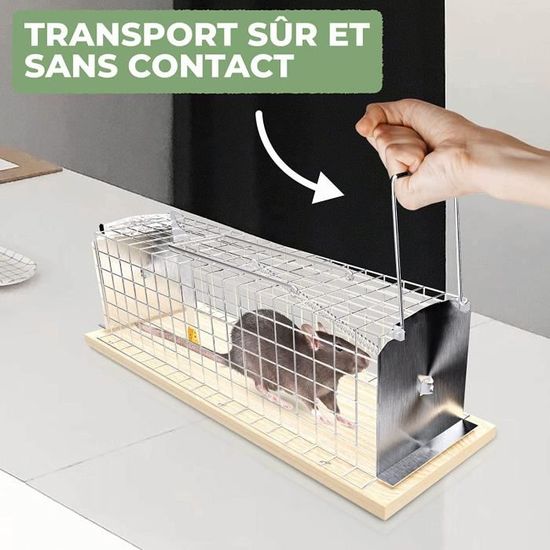 Piège à rats Ratière Souris Rongeurs Cage Nuisibles Grillage Trappe Mice -  Cdiscount Jardin