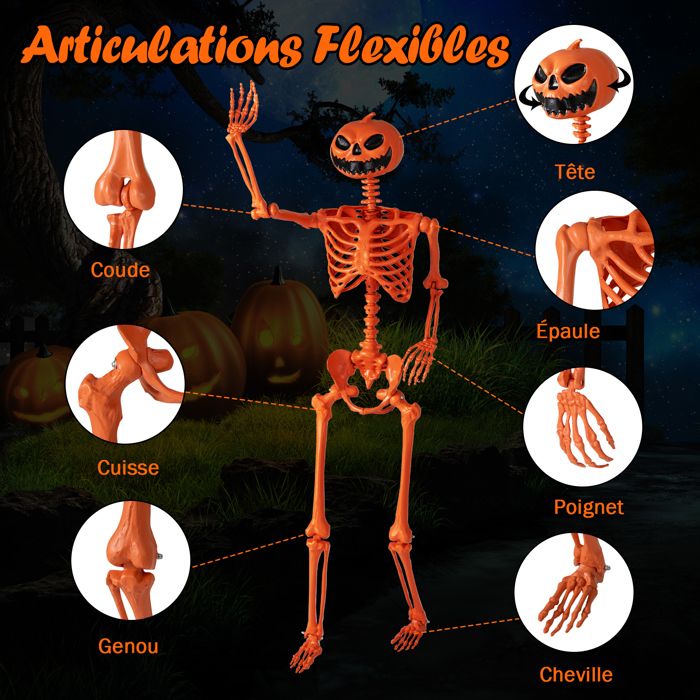Squelette humain d'Halloween grandeur nature de 165 cm avec articulations mobiles de 90 cm pour accessoires d'Halloween décorations