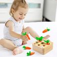 Jouets en Bois Jouets D'assemblage de Carottes Jouets Montessori Forme Taille Tri Puzzle Cadeaux pour Les Tout-Petits Enfants-3