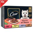 CESAR 48 Sachets fraîcheur en sauce 4 variétés pour chien 100g (4x12)-0