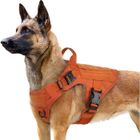 Rabbitgoo Harnais Chien Harnais Tactiques pour Chien-L Rough Réglable Résistante pour Randonnées et Chasse