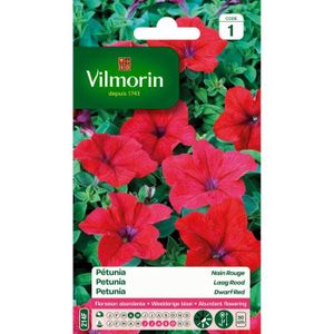 GRAINE - SEMENCE VILMORIN Petunia nain rouge