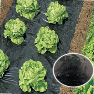 Connex FLOR80260 Film De Paillage 10 X 1,2 M Noir - Protection Sol Et Mauvaises Herbes