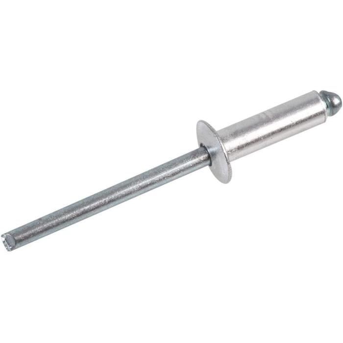 Lot De 100 Rivets Pop 4,8 X 16 | Rivets En Métal, Quincaillerie, 100 X ...