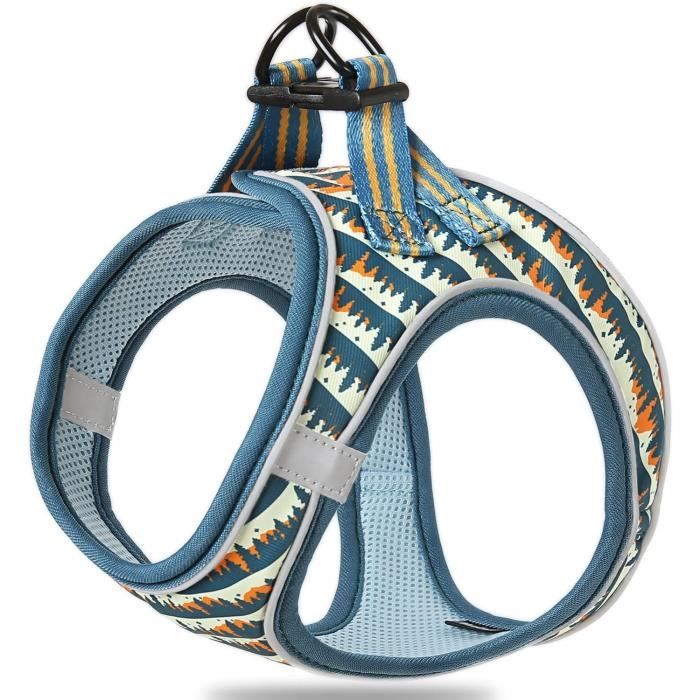 Harnais De Levage Pour Chien – Harnais De Soutien Pour Pattes Arrière