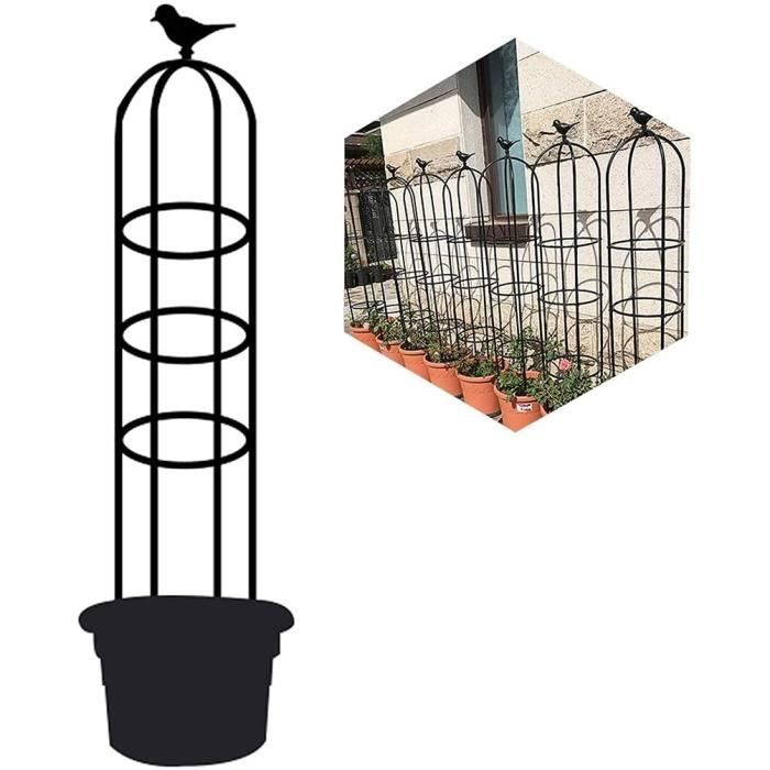 Jardin Obelisk Trellis pour Plantes grimpantes, Fer Treillage