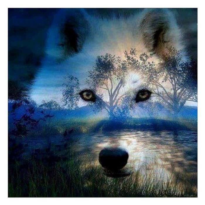 5d Diy Diamant Plein Peinture Serie Animal World Broderie Diamant Loup Kit Complet Decoration De Maison Sal Achat Vente Objet Decoration Murale Cdiscount